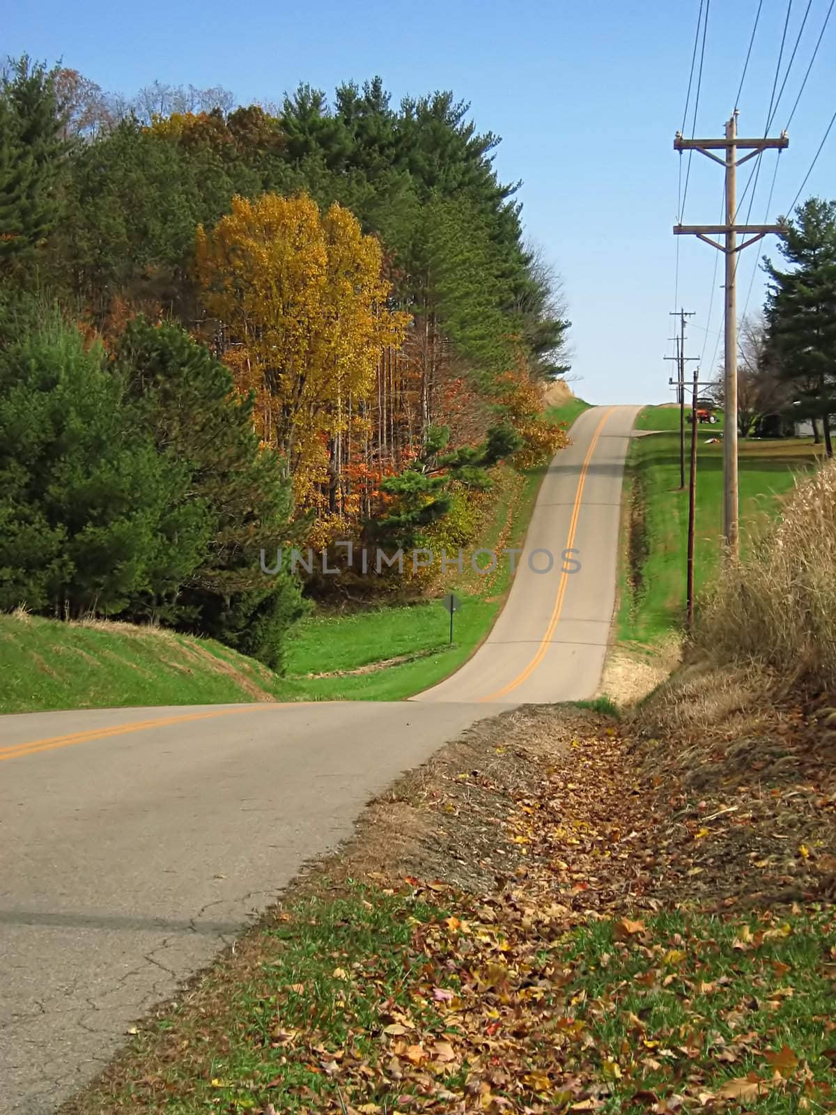 A photograph of a road in autumn.
