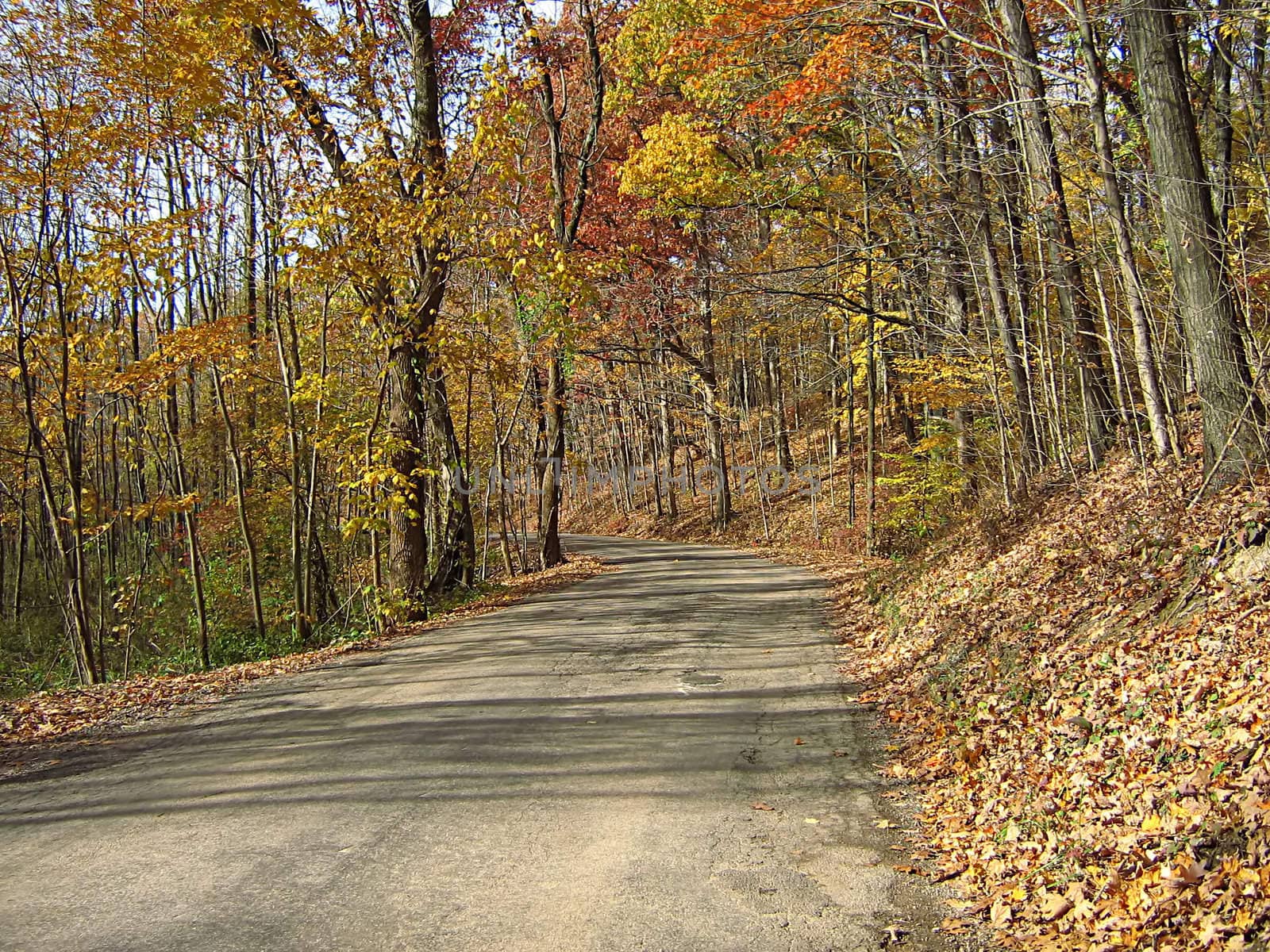 A photograph of a road in autumn.