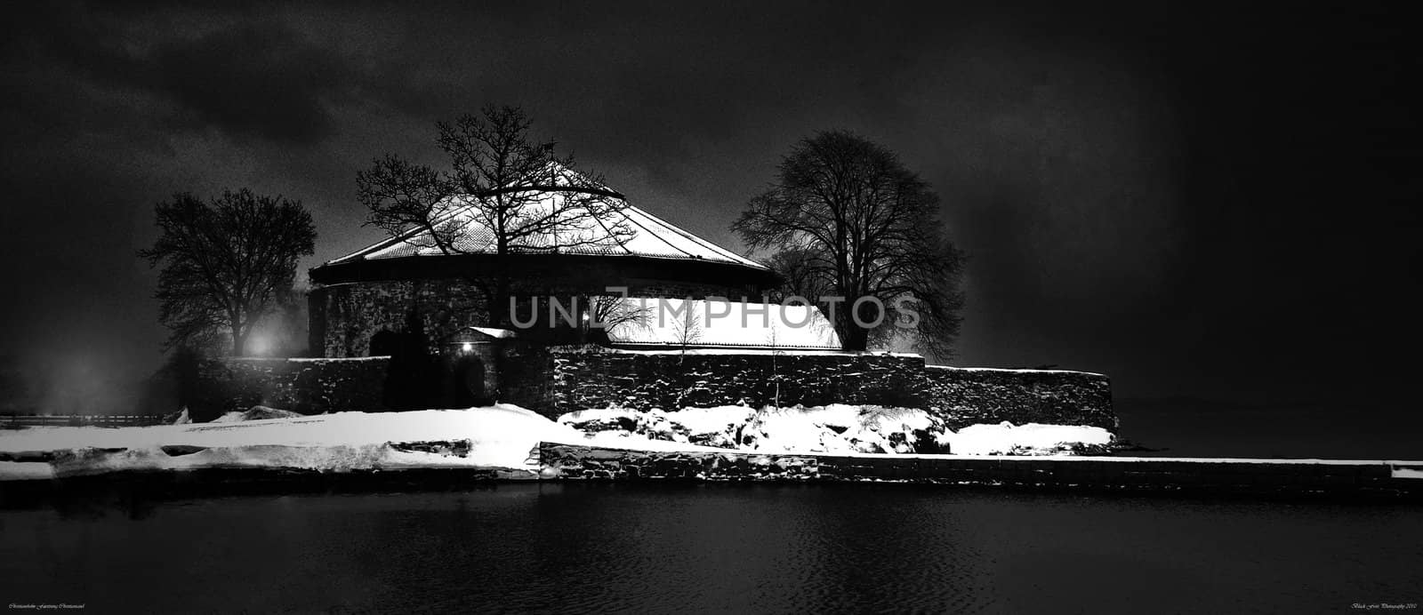 Winter night