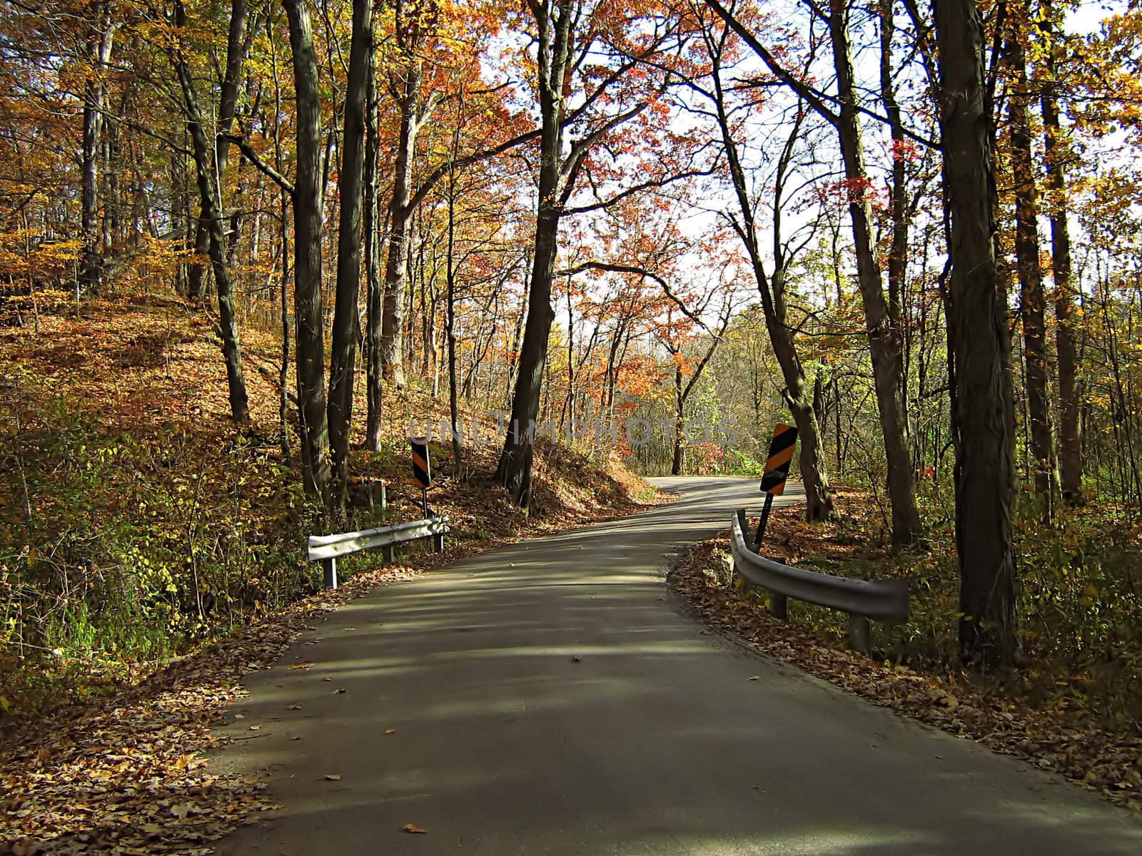 A photograph of a road in autumn.