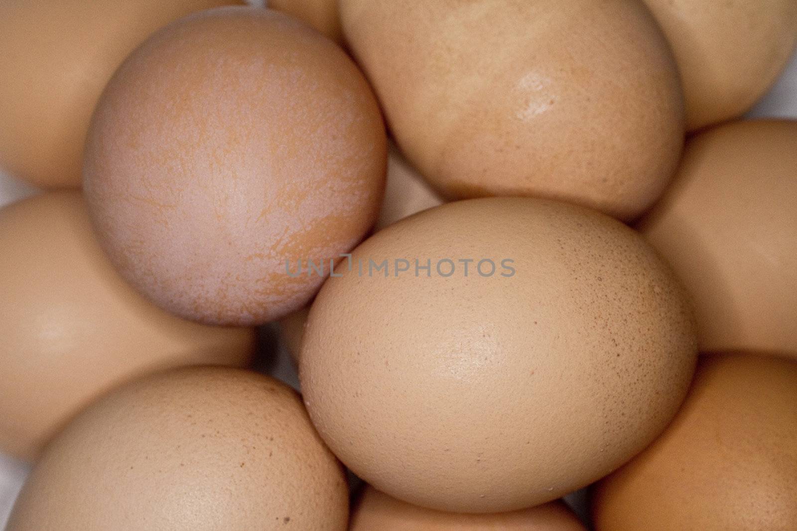 Organic brown eggs macro background