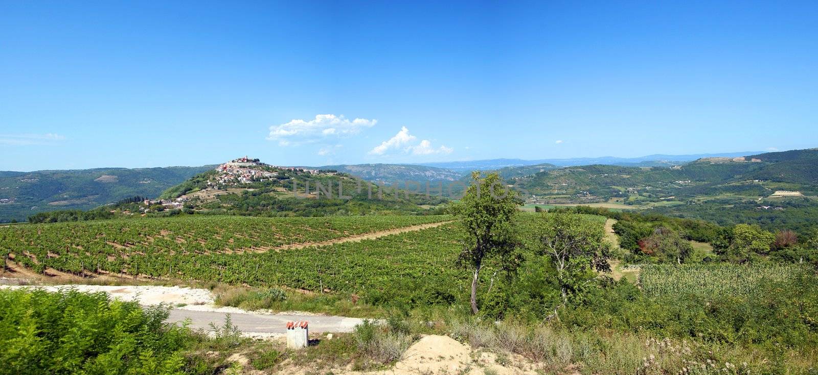 The village of Motovun in Croatia in croatia