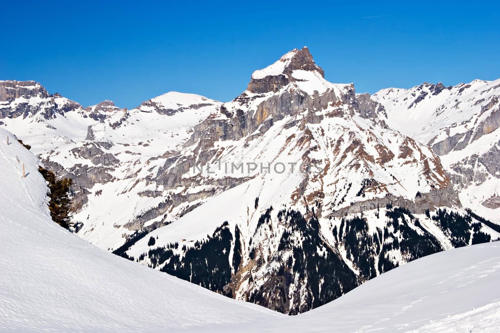 Snowy mountain in the Swiss Alps