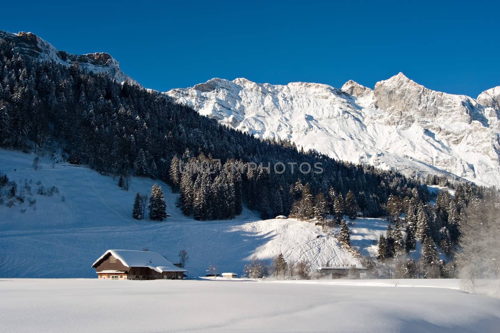 Snowy winter morning in the Swiss Alps