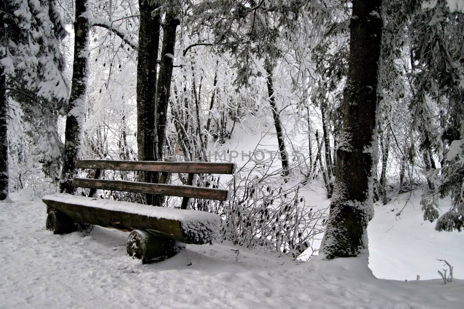 Woonden bench in snow