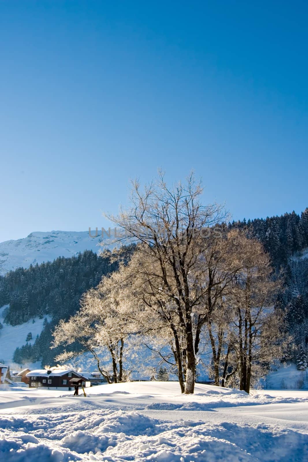 Snowy winter morning in the Swiss Alps