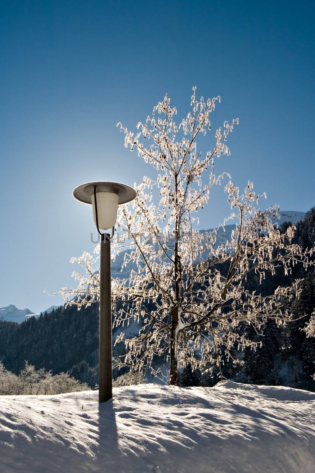 Lamp-post and tree in winter with blue sky