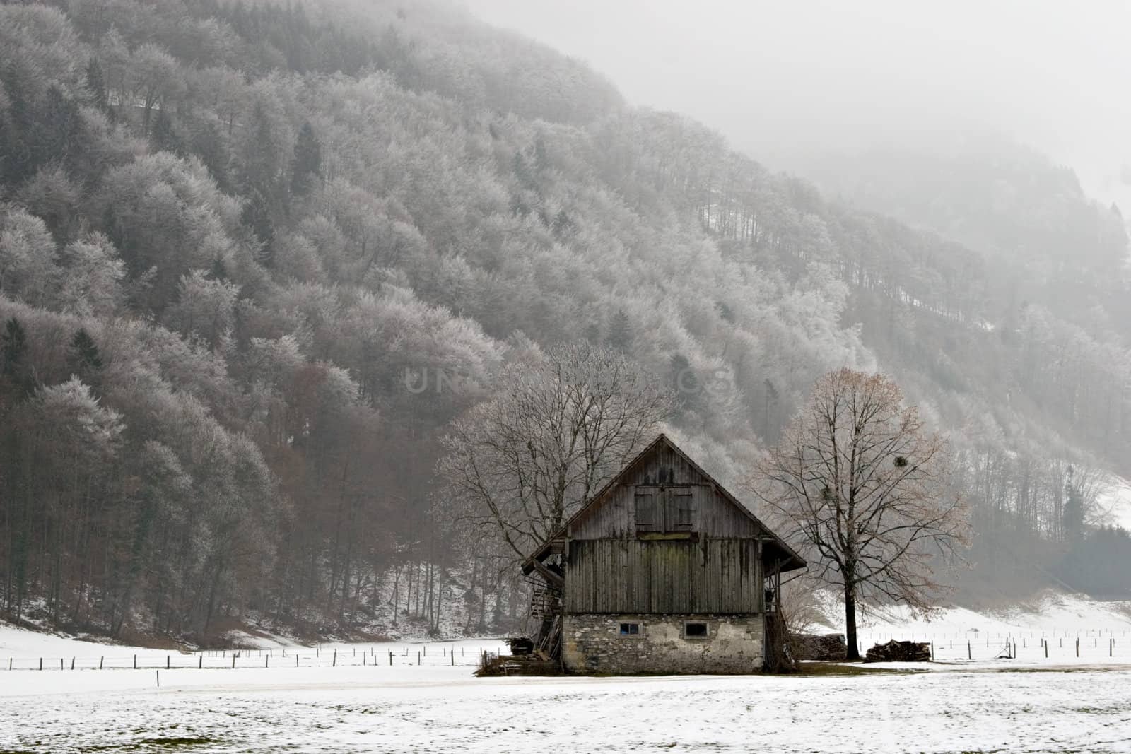 Old barn by ajn