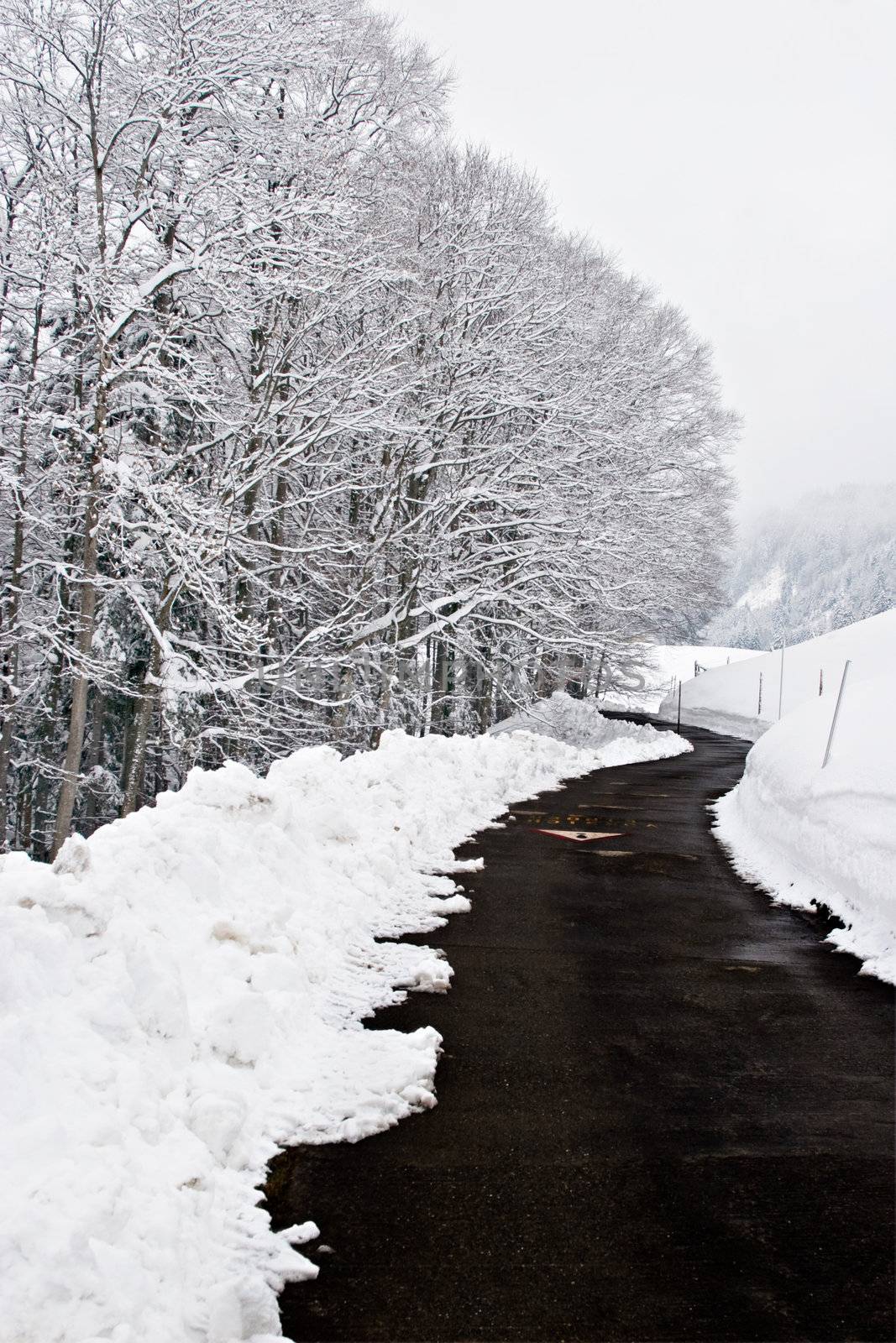 View over a tarmac road, surrounded by snow and icy trees.