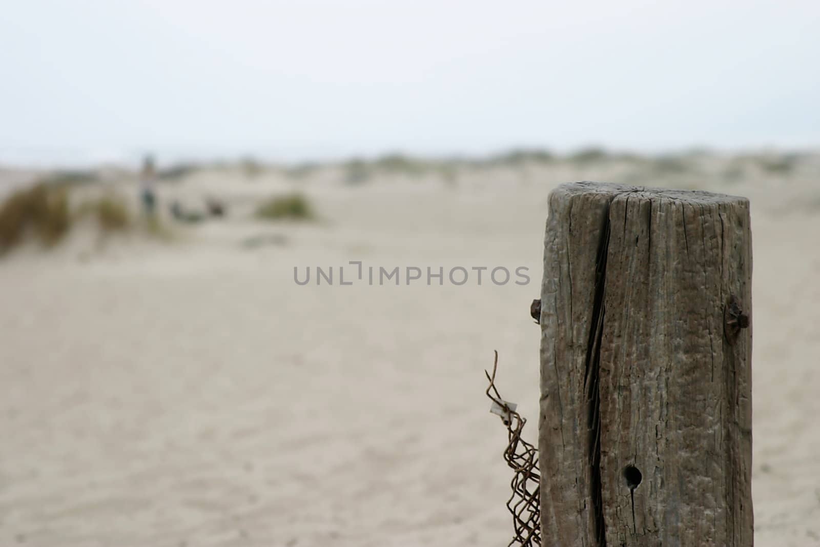An old fence pole by the beach with a blurred background