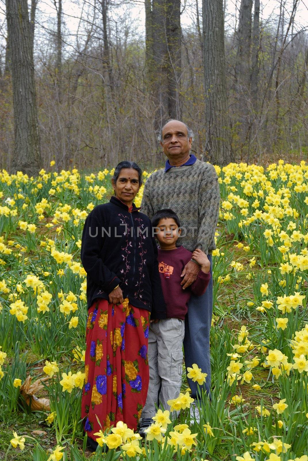 An Indian Kid with grandparents in a field of daffoldils