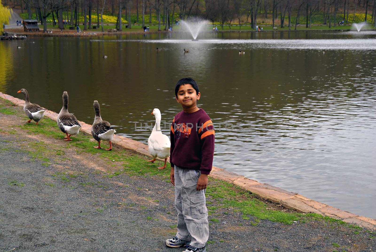 Boy excited to see ducks by pazham