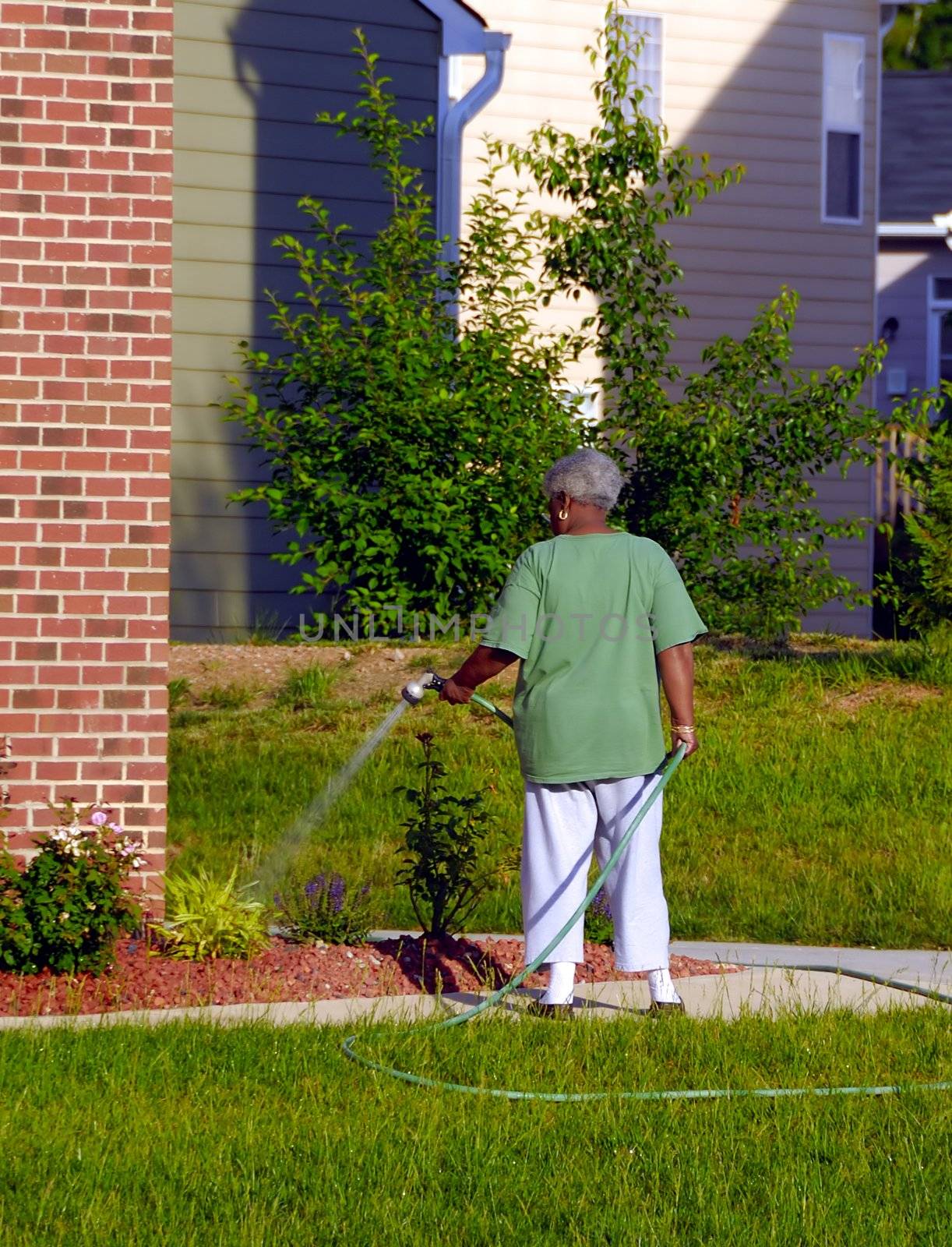 Watering Lawn by pazham