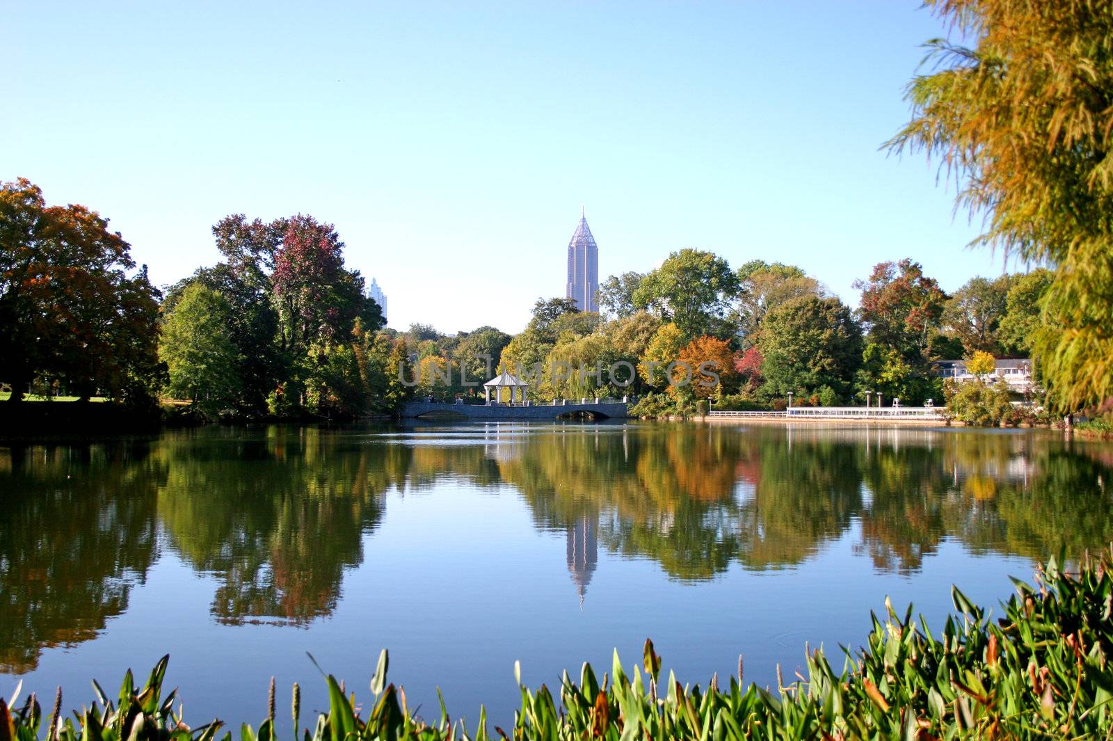 Lake in city park with skyline in background