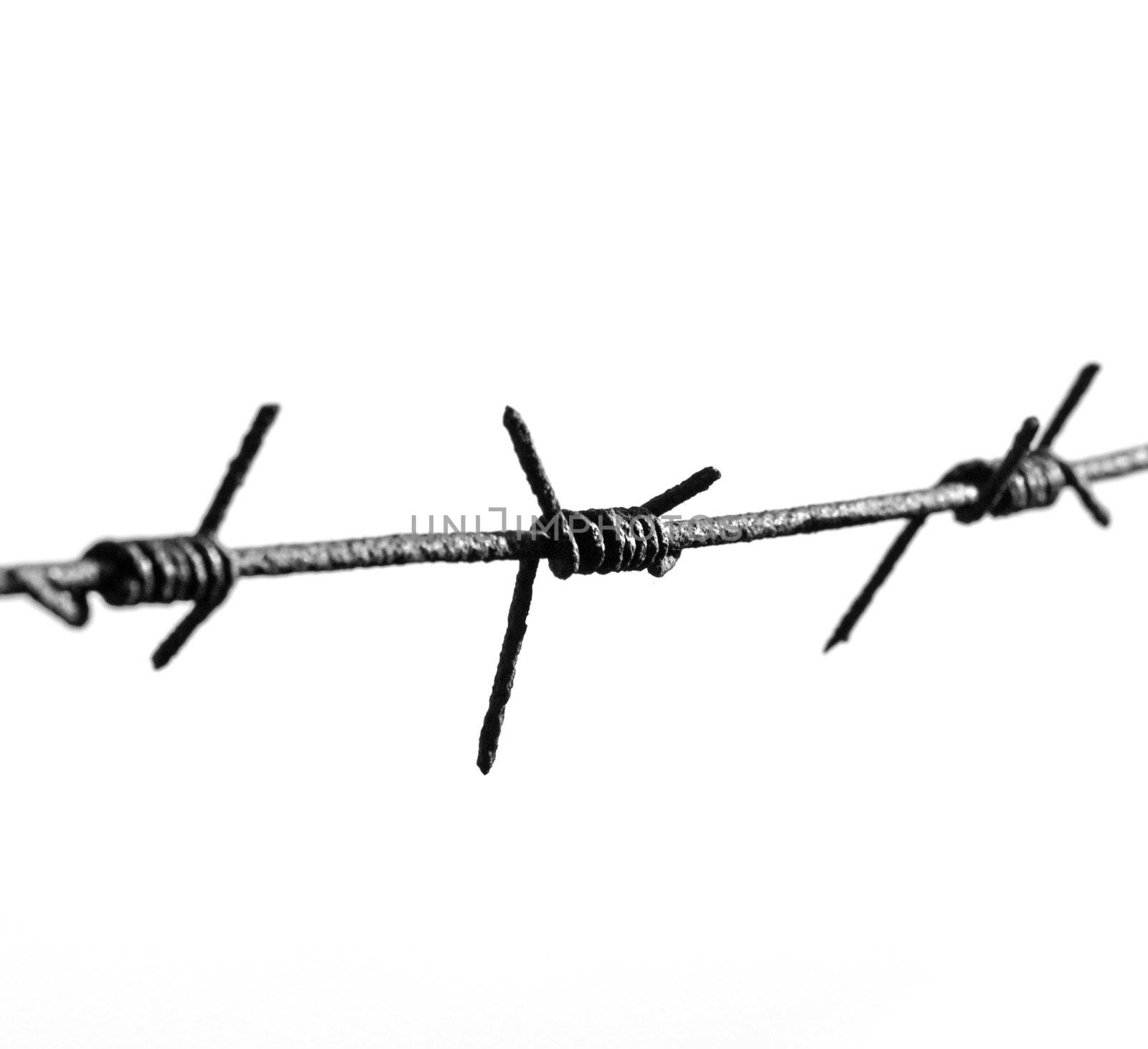 The barbed wire is isolated on a background of the white 