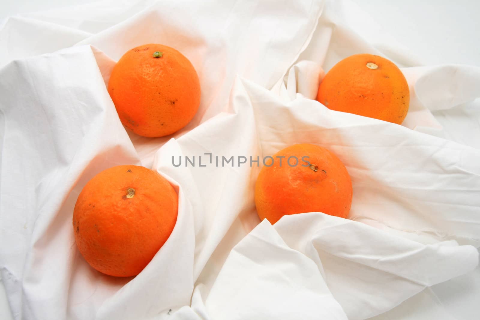 beautiful oranges over white background