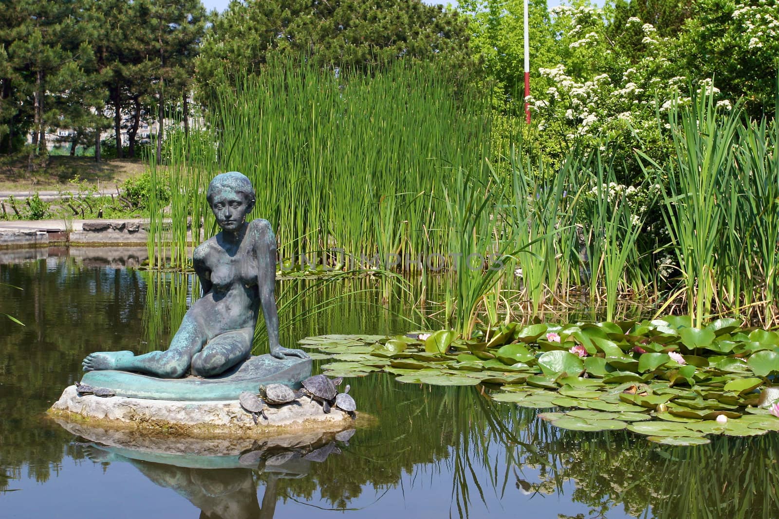 A lake on Margit Island.