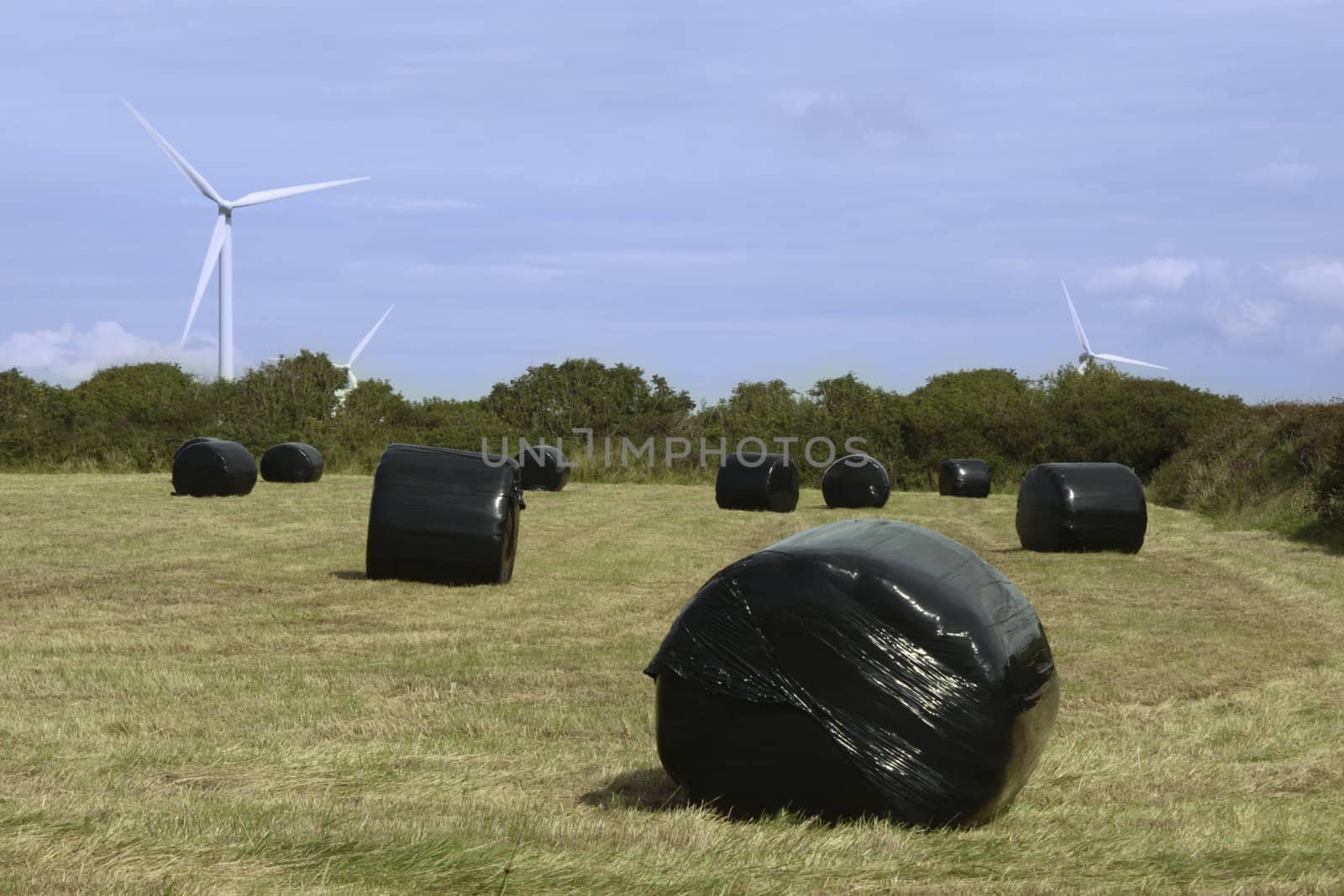 some black bales in front of windmills