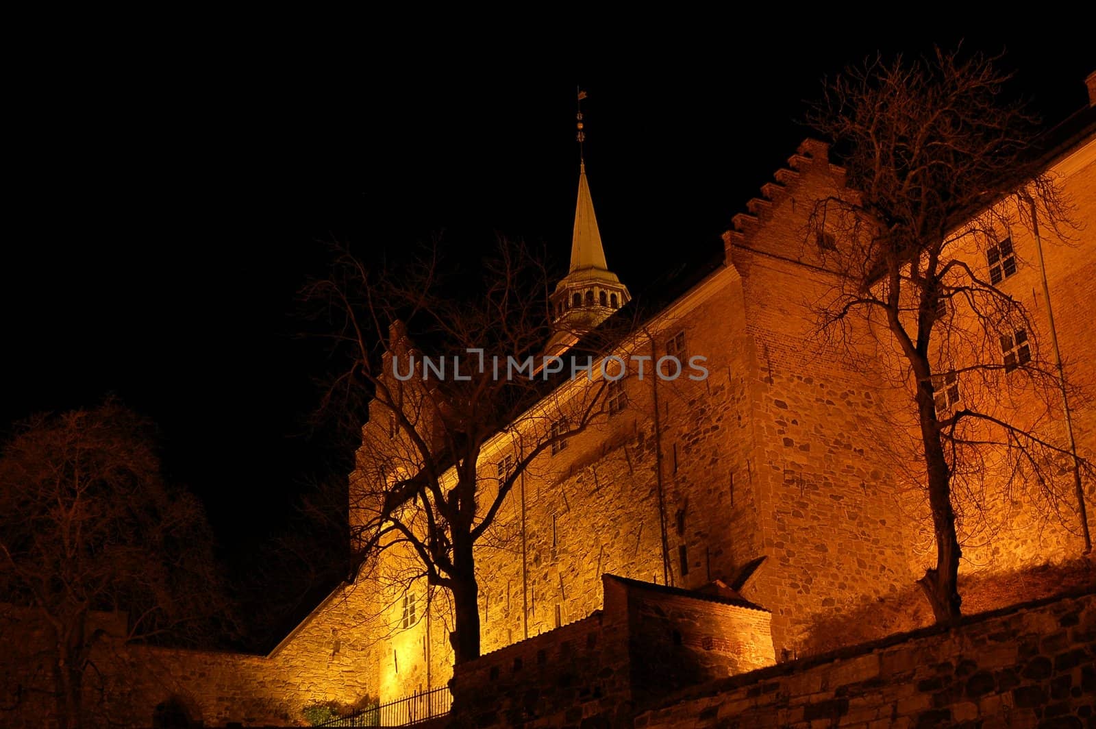 Akershus fortress at night