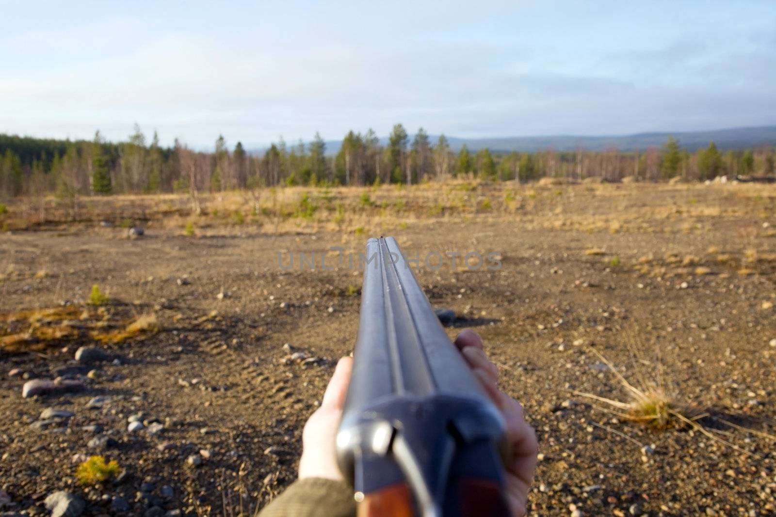 Shotgun pointing at the target. Autumn