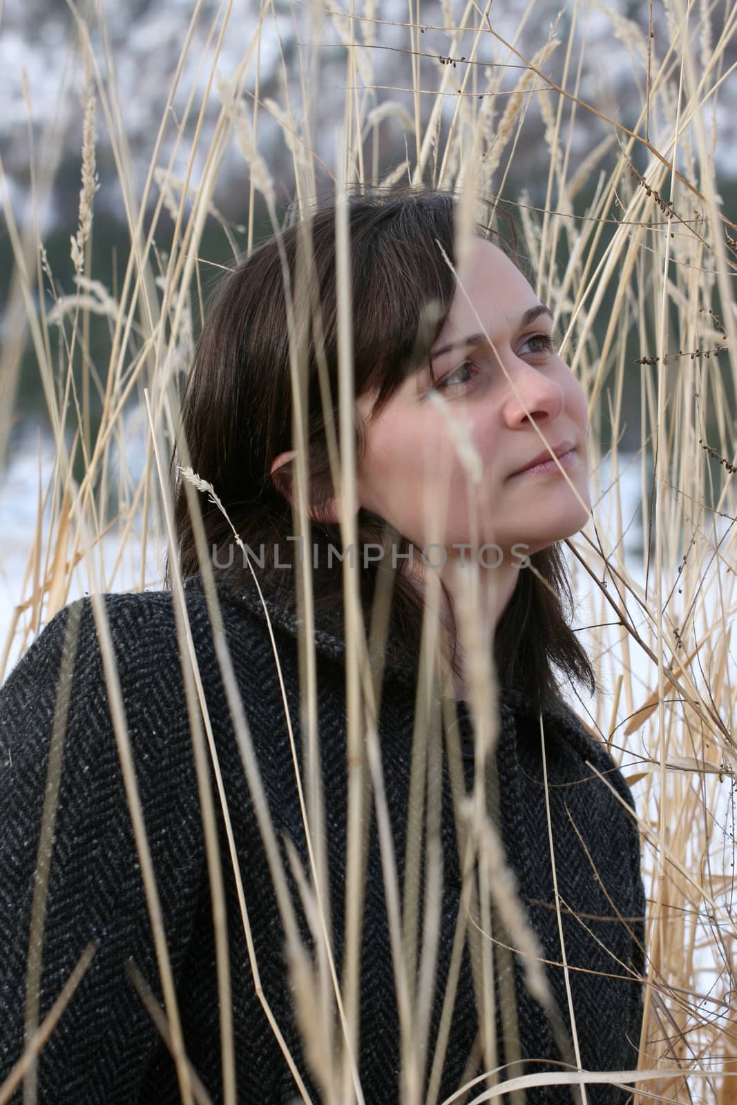 Beautiful brunette female outdoors on a winter day