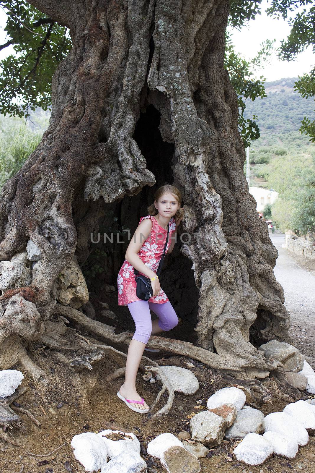 little girl in a big olive tree by miradrozdowski