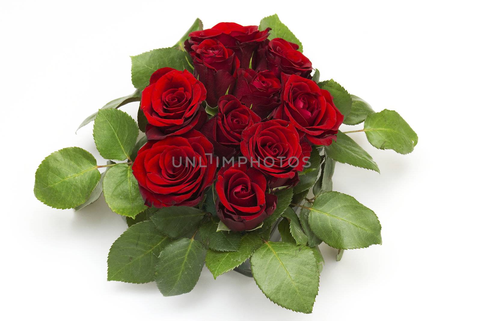 red roses