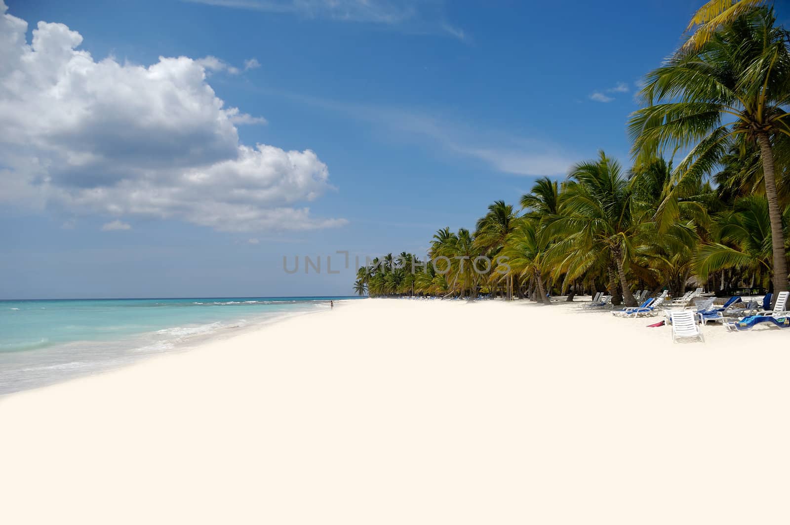 Exotic beach with white sand and palms