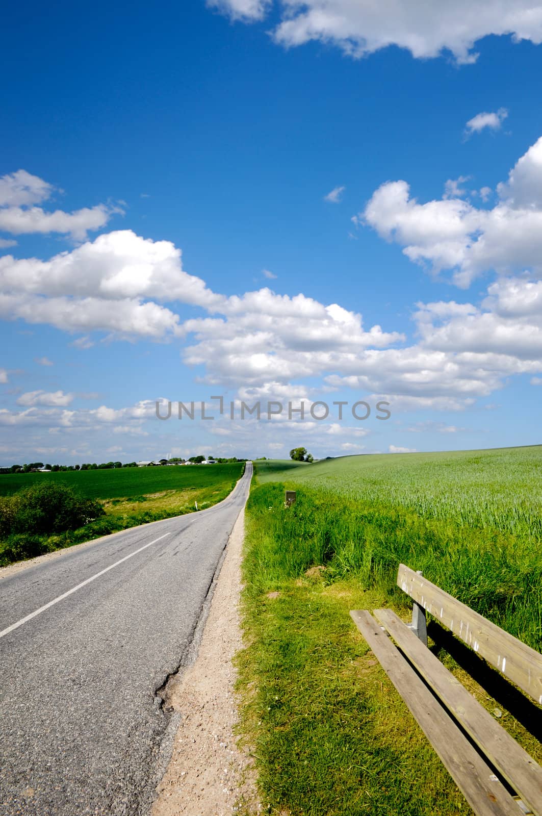 Road with surrounding green fields. The sky is blue with white clouds. On the left is a bench.