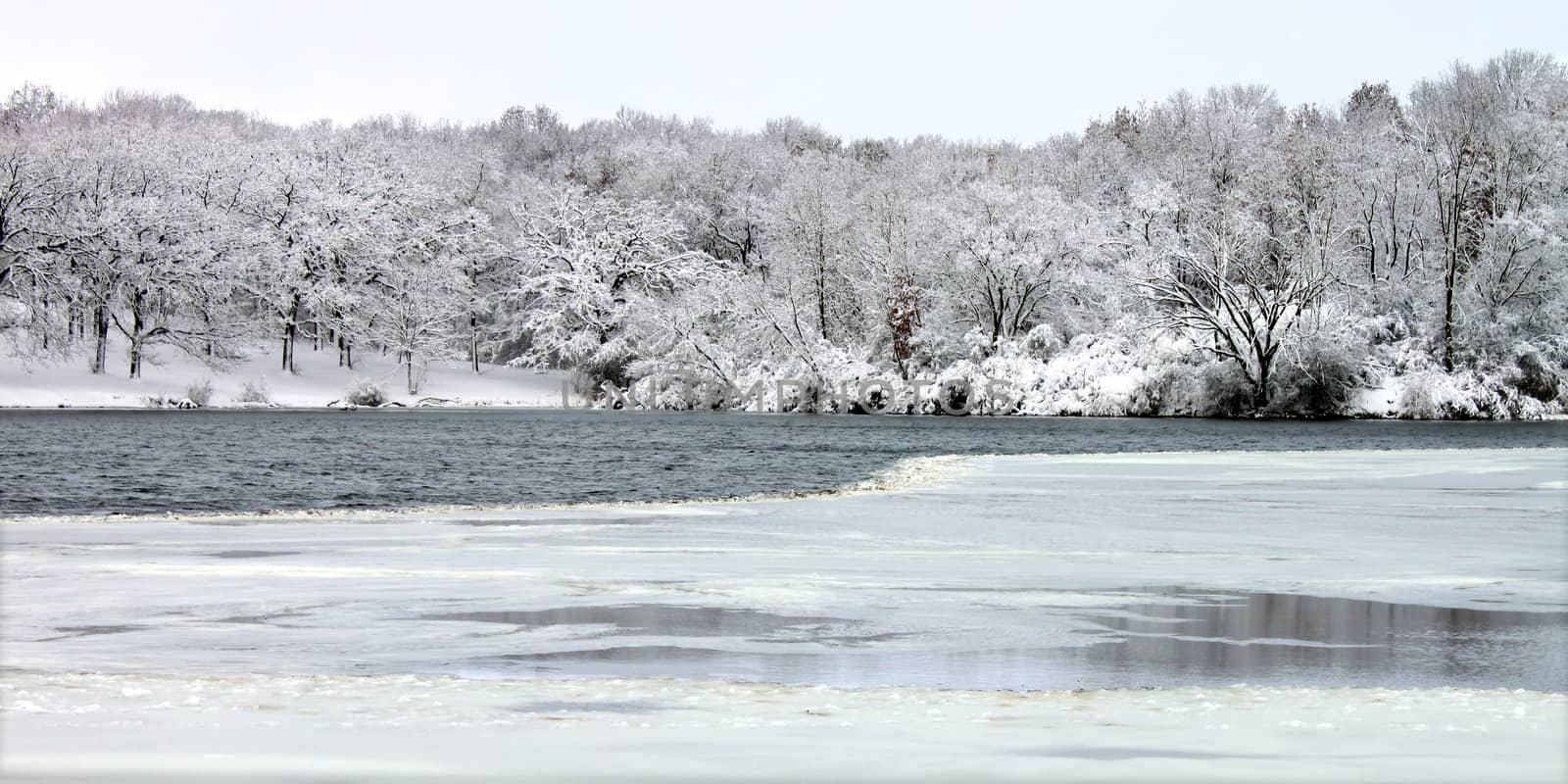 Pierce Lake Snowfall - Illinois by Wirepec