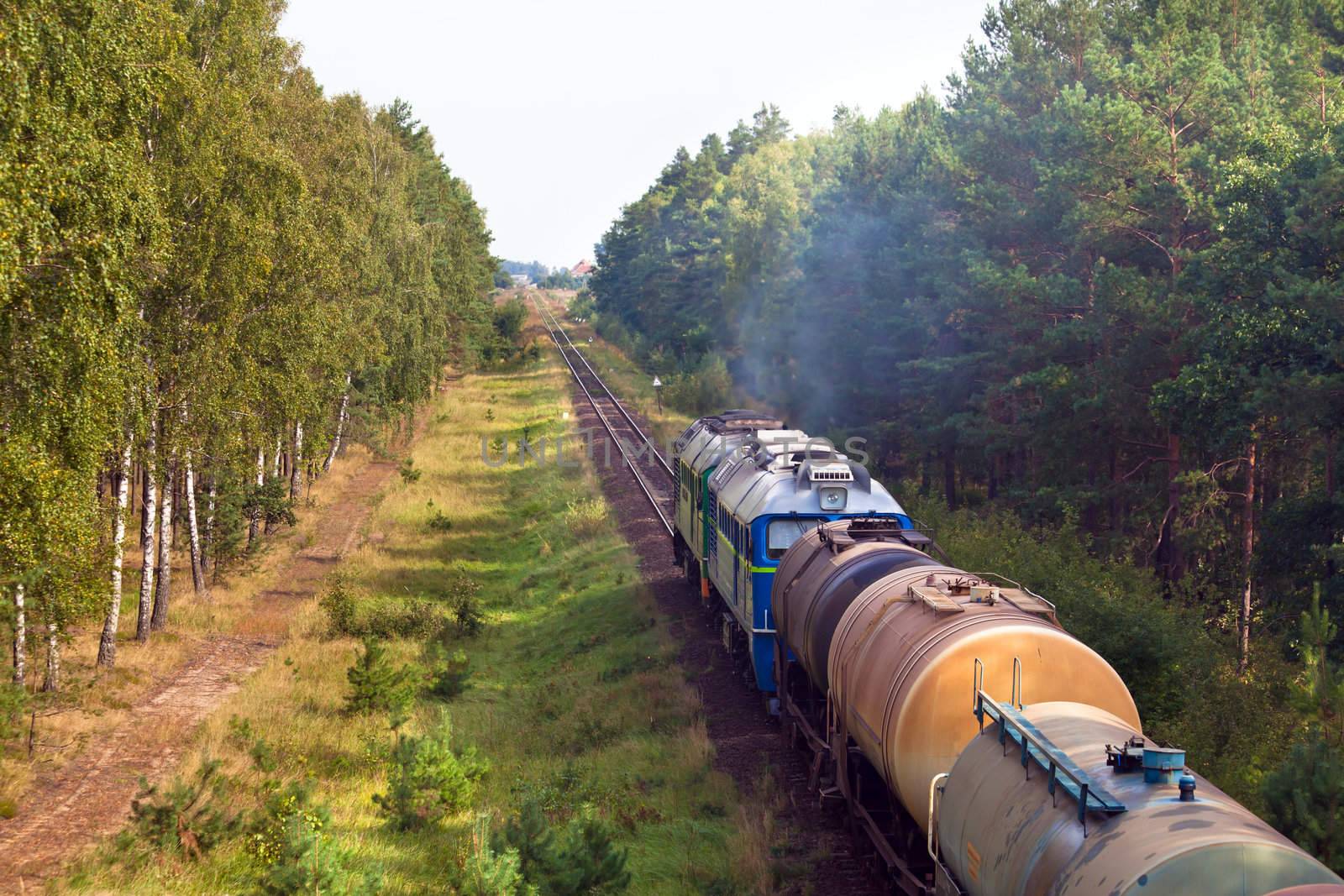 Freight train passing the countryside

