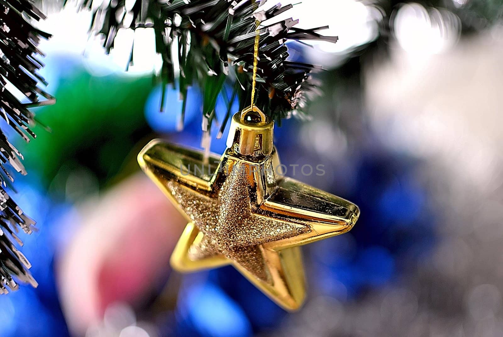 Christmas star