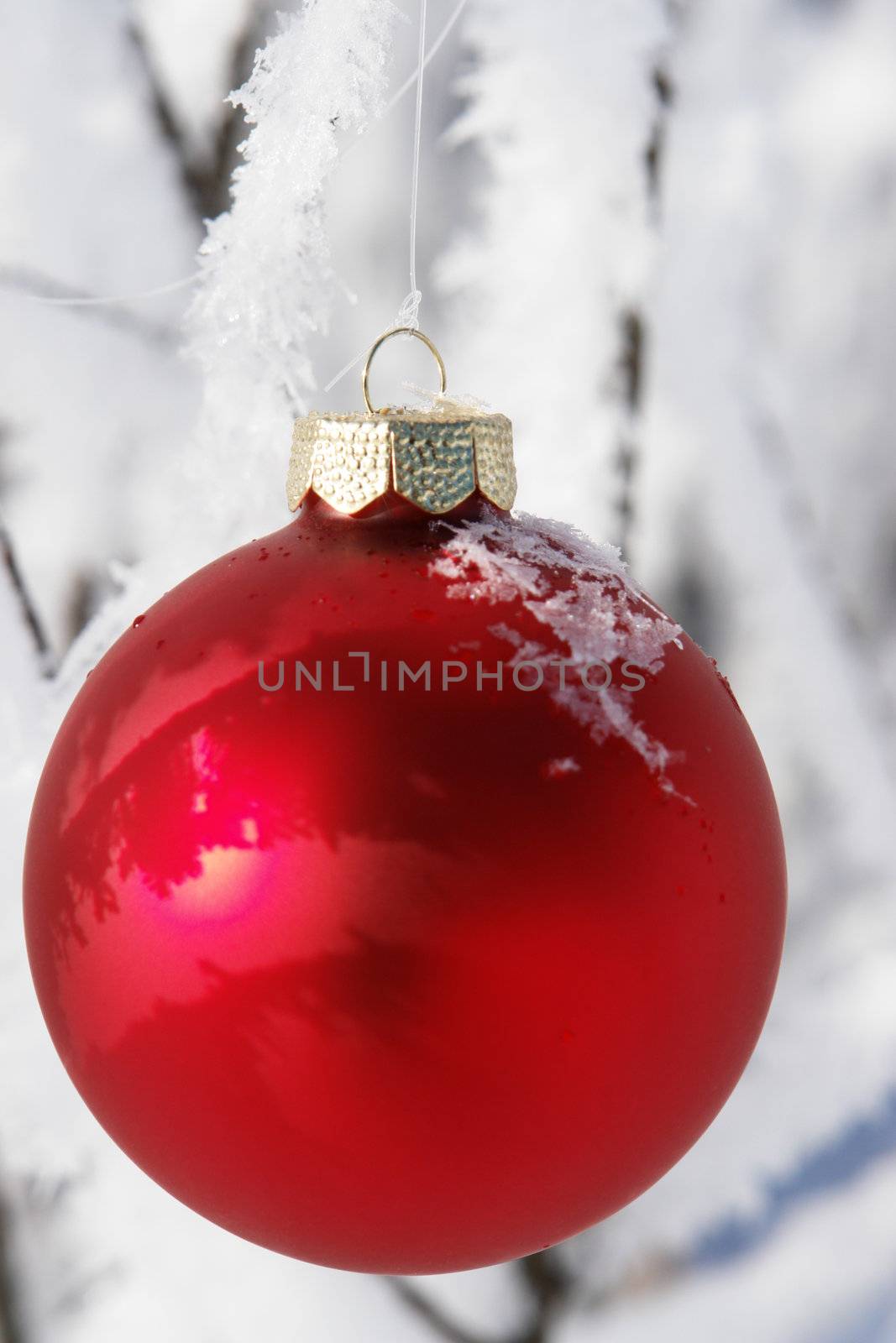 a red bauble in snowy winter landscape