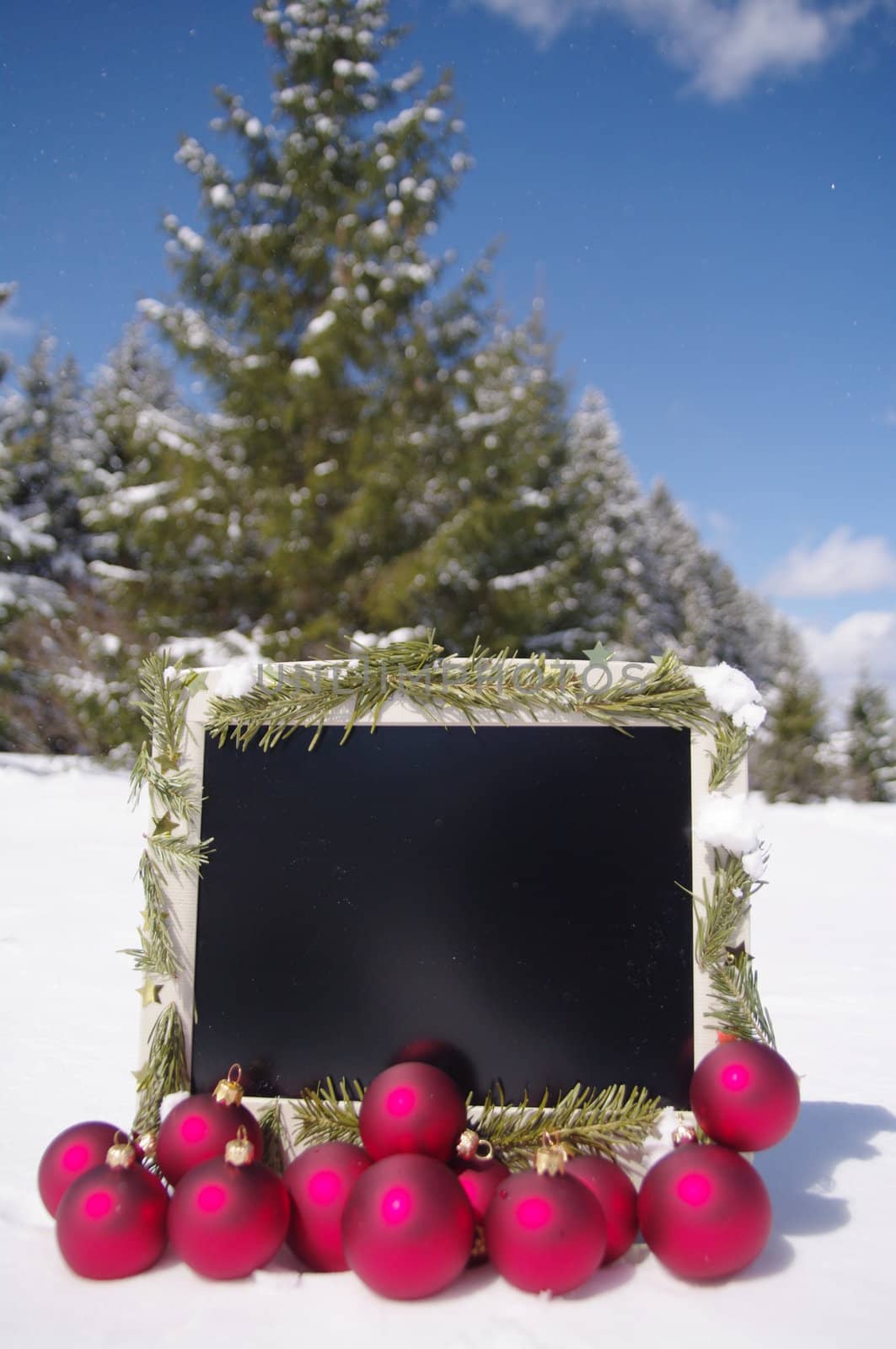 a decorated screen in snowy winter landscape