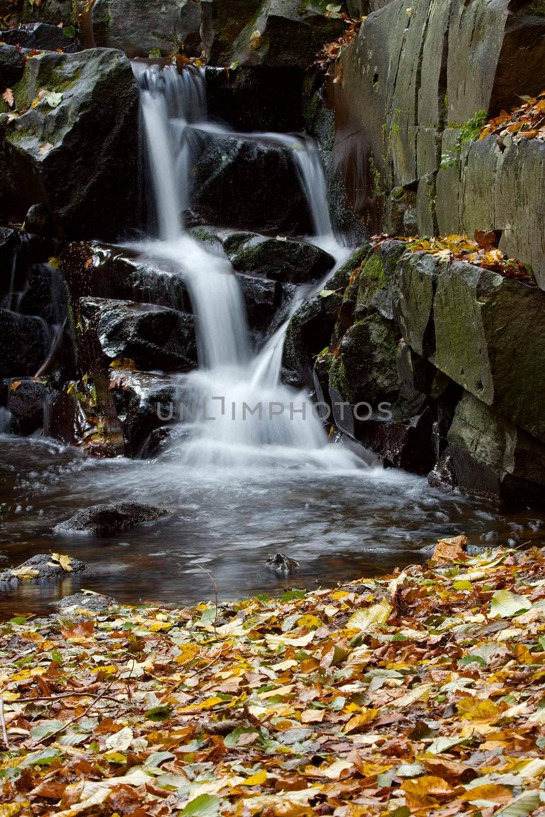 Small waterfall and fallen autumn leaves