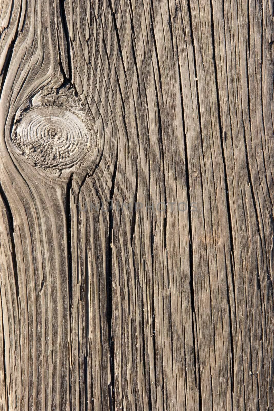 Rough wood texture closeup