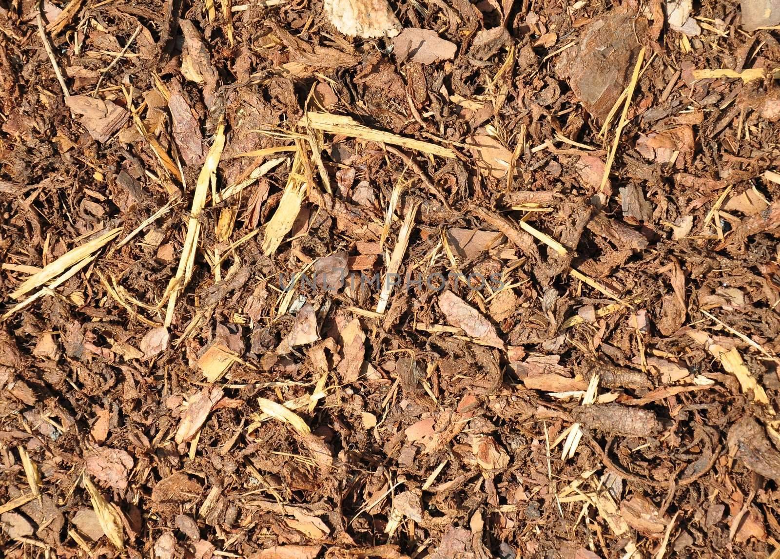 Bark mulch by rbiedermann