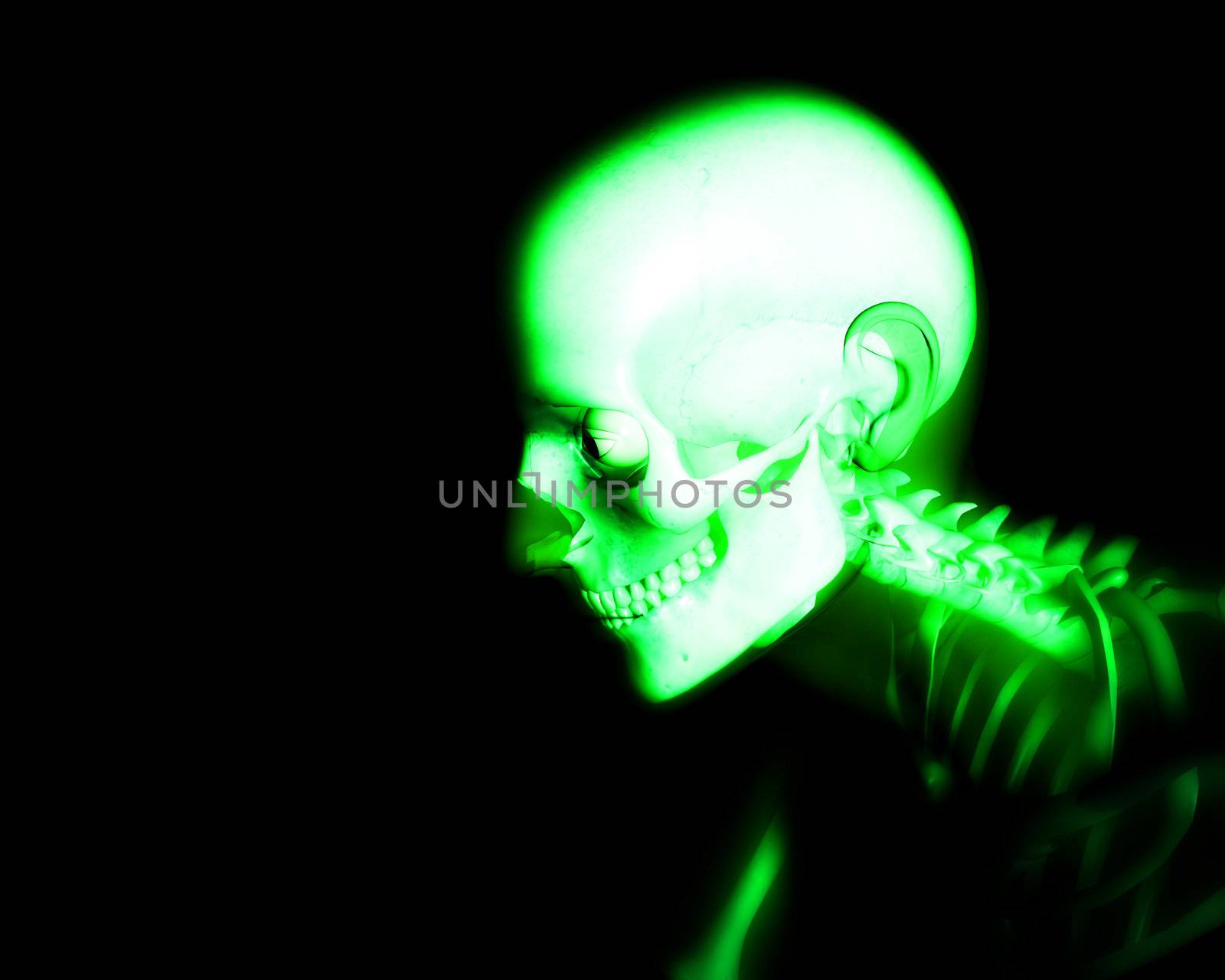 Close up view of semi transparent human skin with a skeleton underneath.