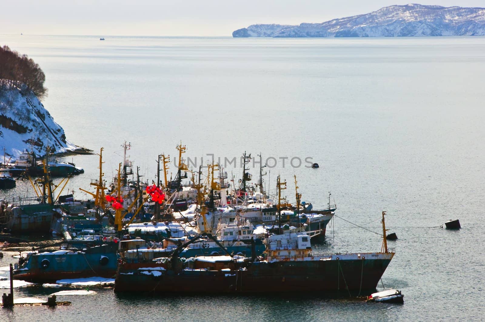 Shipping port with fishing ships in Russia