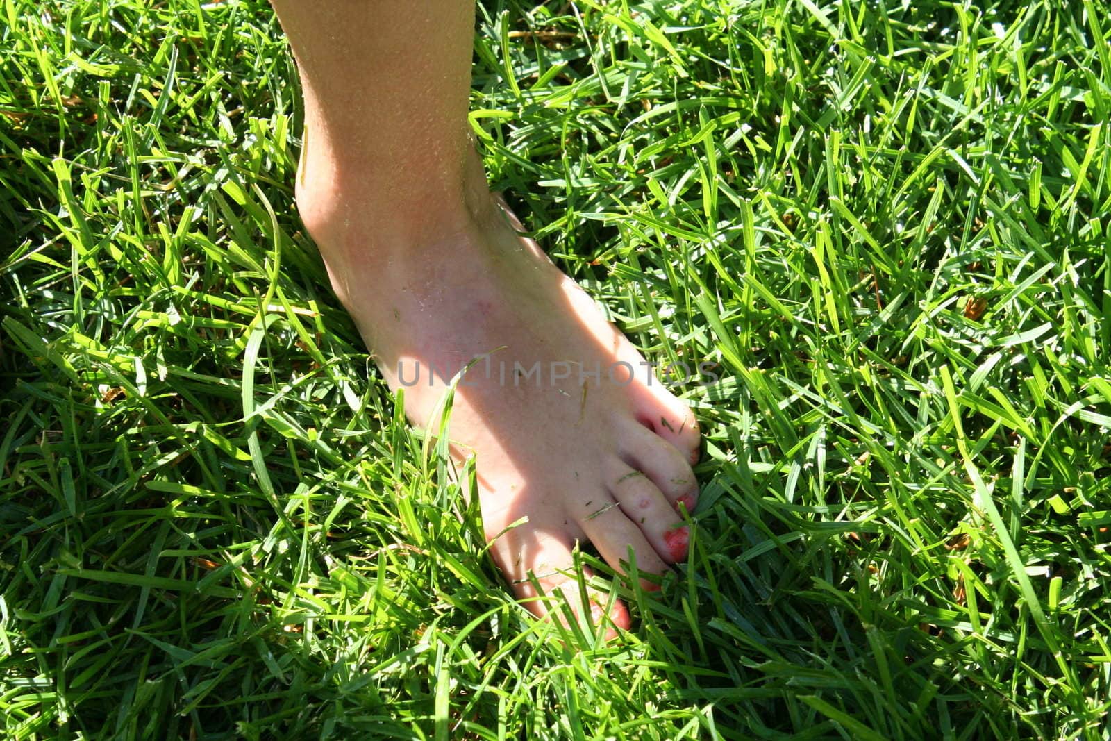 Human foot in grass