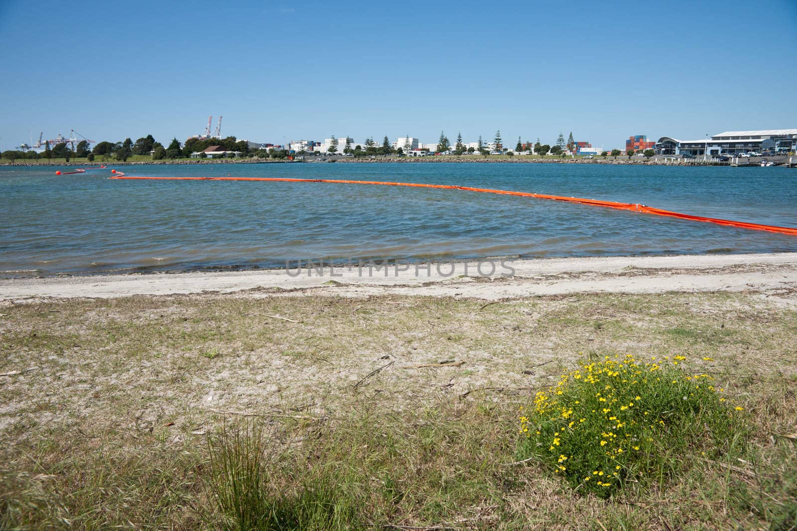 Tauranga, New Zealand, October 24,2011: Oil boom to prevent oil contamination on Tauranga beaches from Rena freight ship maritime disaster. by brians101