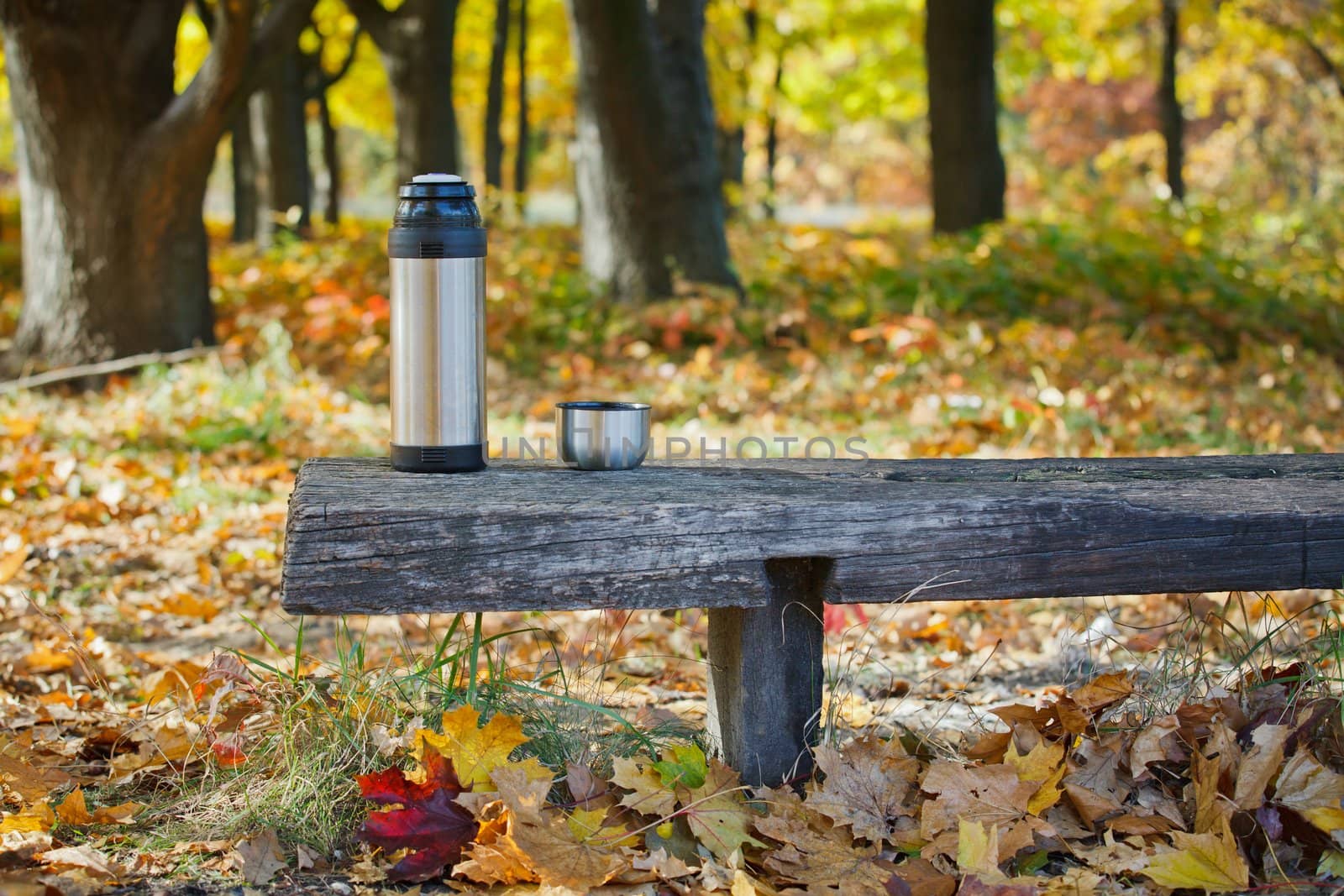 Thermos is on the bench in autumn park