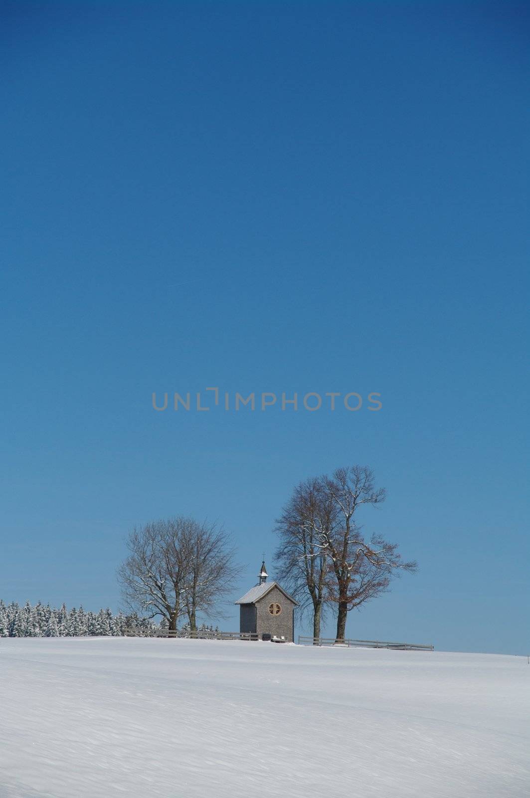 beautiful snowy winter landscape at Christmas time...