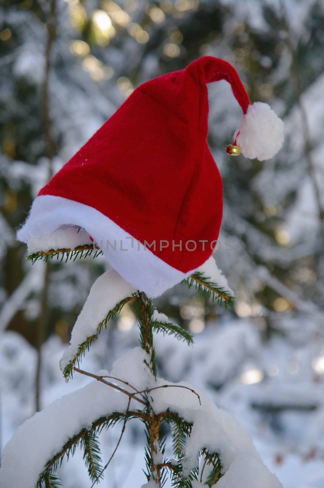 red santa claus hats in a snowy landscape