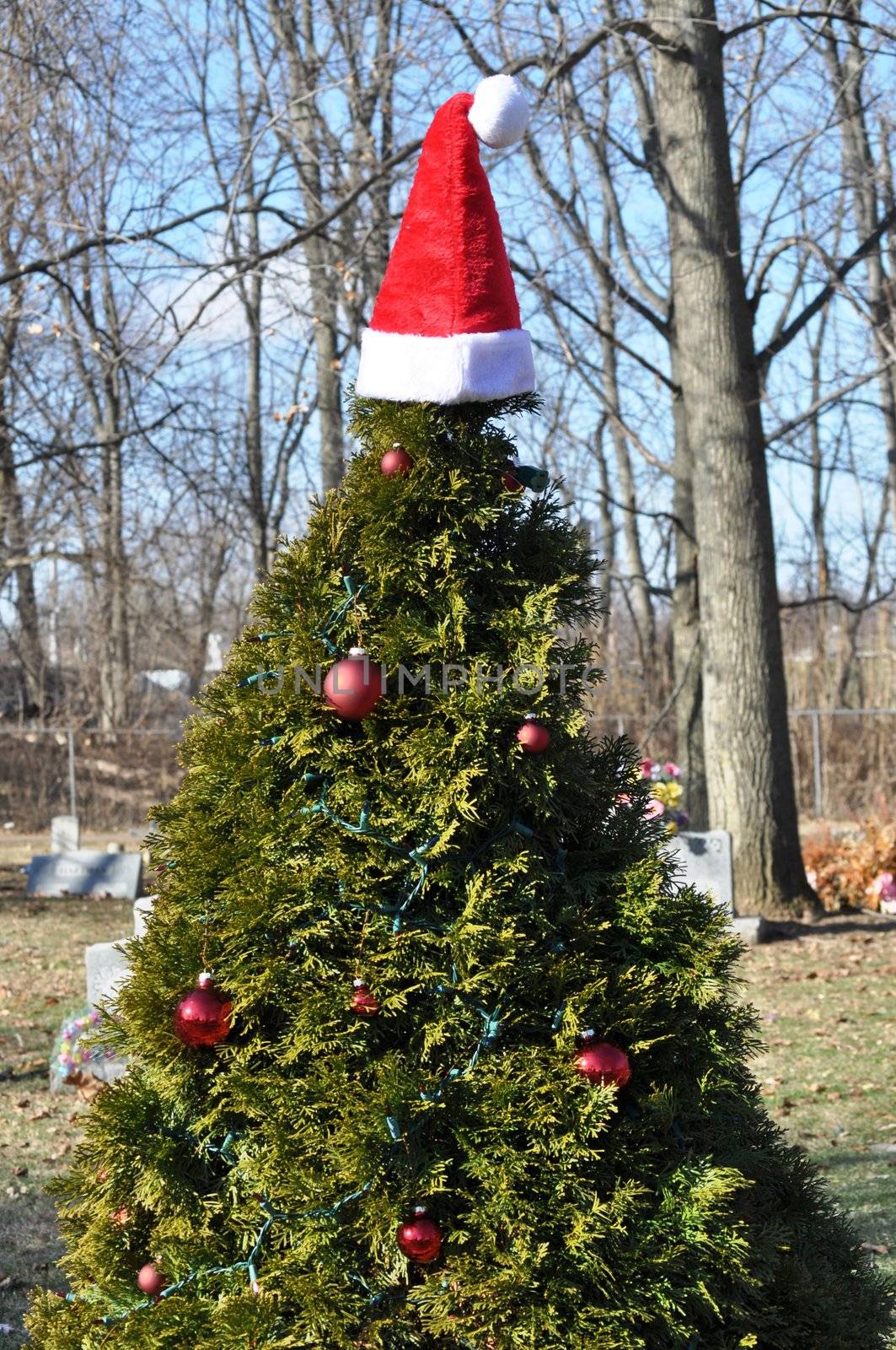 Gravesite Christmas Tree