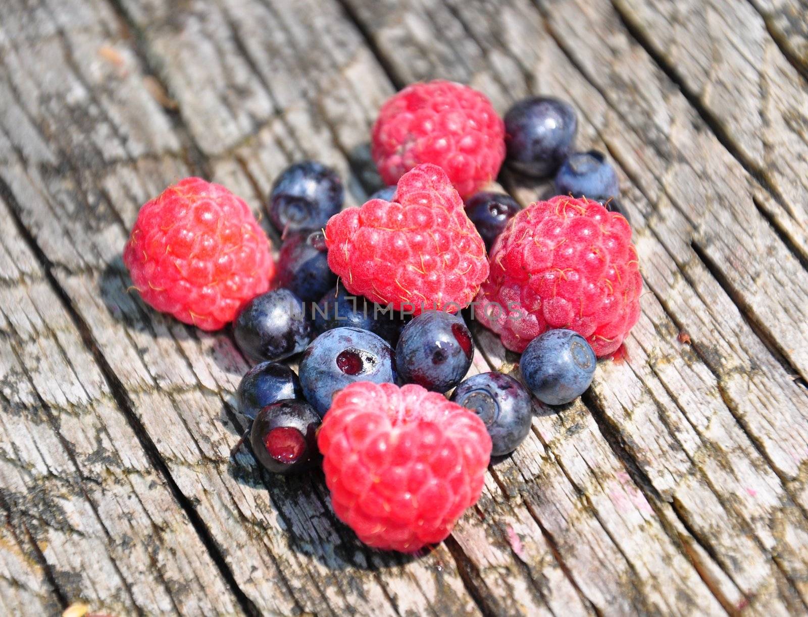 Wood berries on wood by rbiedermann