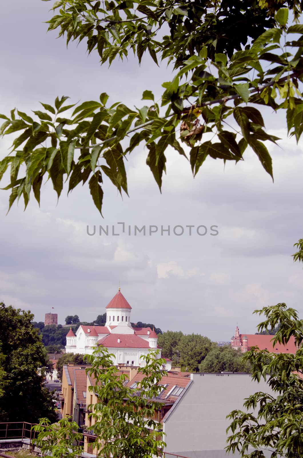 Vilnius architectural fragments are visible through the tree branches. Gediminas castle in the distance.