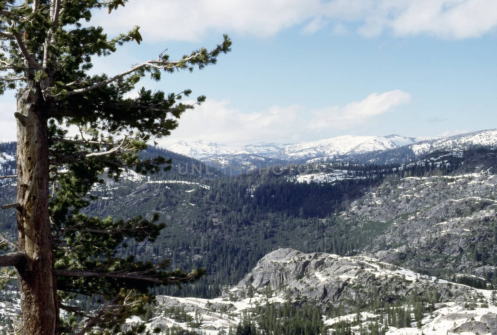 Yosemite National Park by jol66