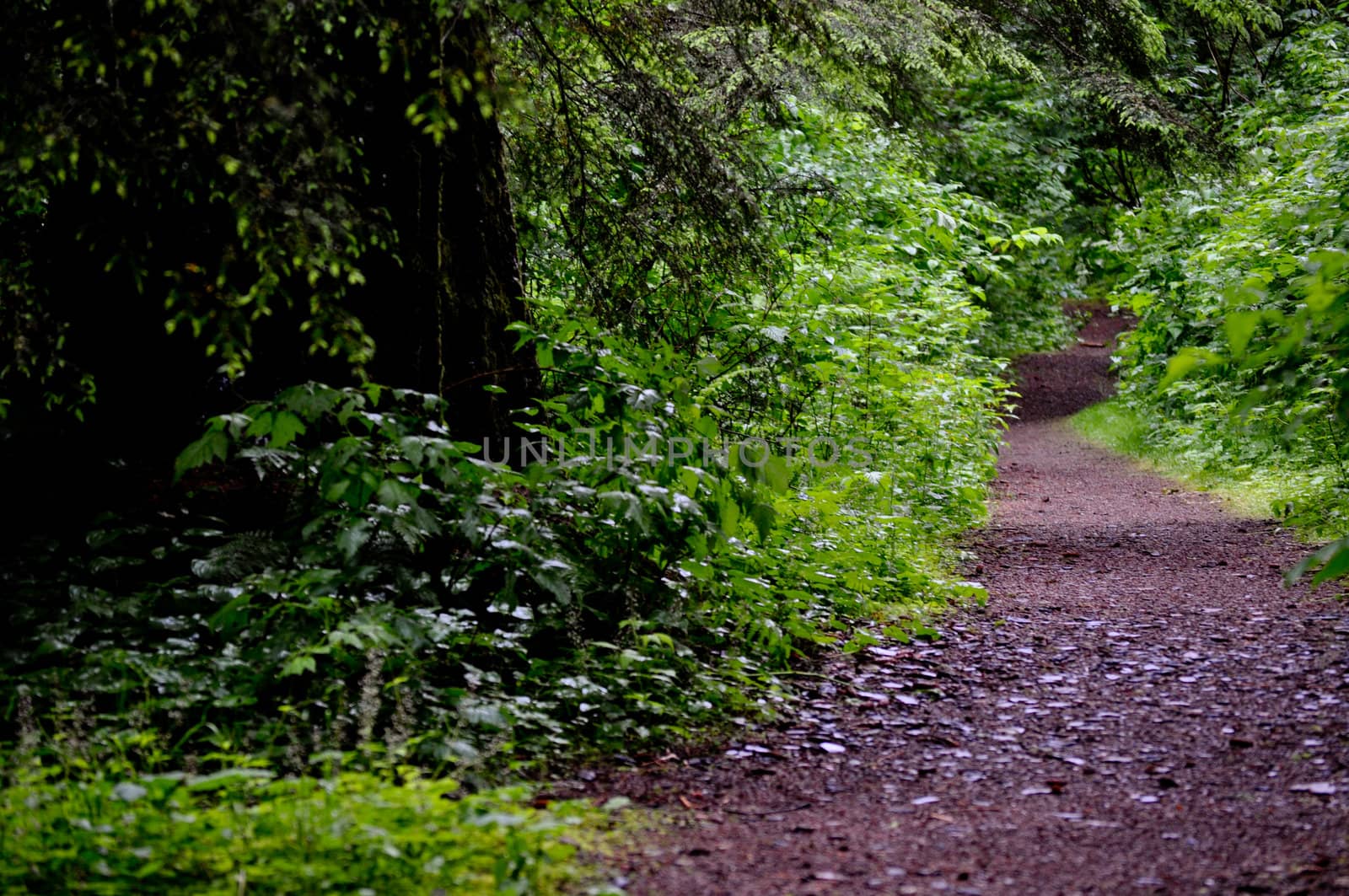 Trail on the right by RefocusPhoto