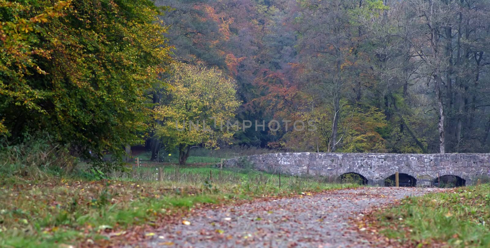 A bridge surrounded by a forrest in all colors